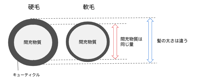 硬毛と軟毛の違いのイラスト