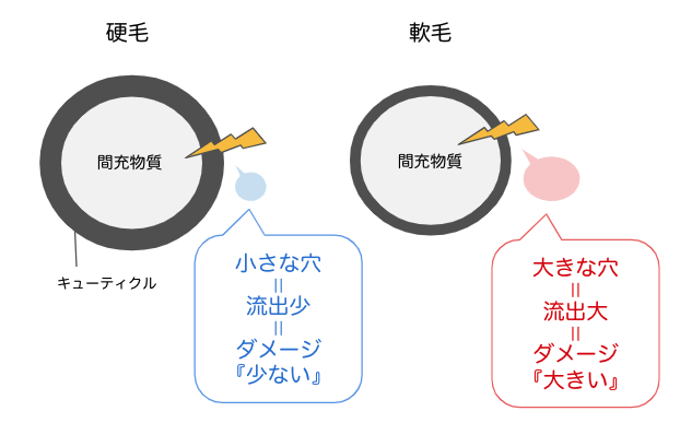 硬毛と軟毛のダメージの違いのイラスト